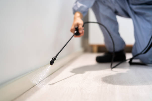 Certified termite inspector examining foundation in Silver Springs
